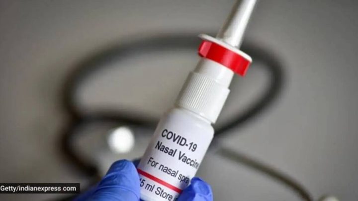 India approves its first nasal vaccine for COVID-19