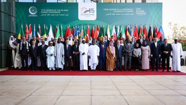 OIC Contact Group on Jammu and Kashmir Asserts Support During 15th Summit in Gambia