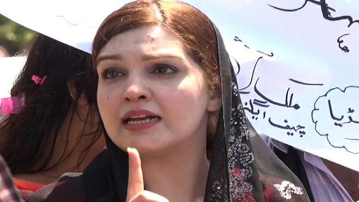 Kashmiris Demand Genuine Self-Determination, Not Farcical Elections: Mushaal Mullick