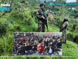 IIOJK’s Forest Workers Rise Up Against Years of Neglect