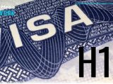 H-1B Visa Divide in US and Its Impact on Tech Business