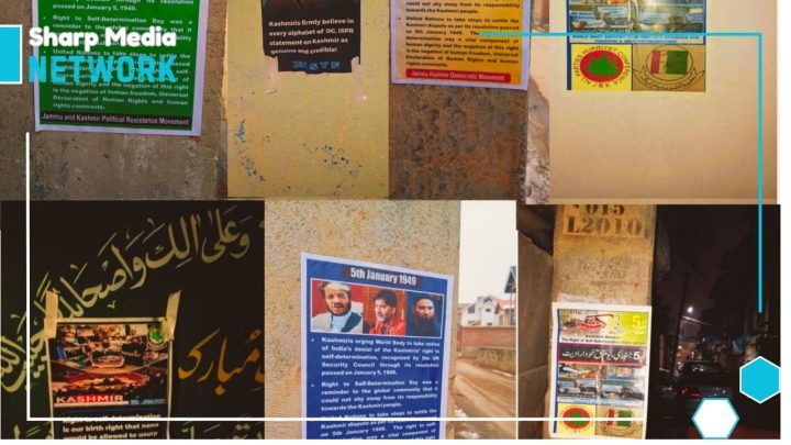 Posters in IIOJK: A Cry for Justice the World Refuses to Hear