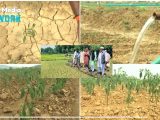 IIOJK’s Agricultural Crisis Amid Farmers’ Protest Destructive Land Acquisition by Modi Regime