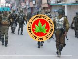 India’s Violations of International Law in IIOJK: APHC Raises Alarm