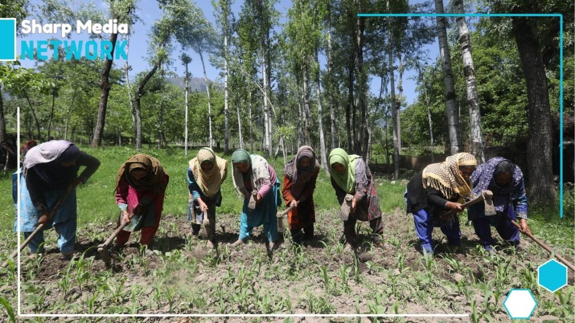 Financial Crisis Deepens for Farmers in IIOJK