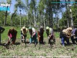 Financial Crisis Deepens for Farmers in IIOJK