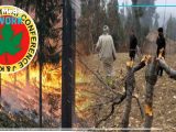 Destruction of IIOJK’s Ecosystem: APHC Accuses Indian Forces of Environmental Devastation