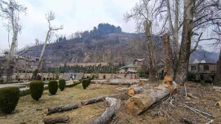 IIOJK’s Natural Heritage at Risk: Experts Call for Urgent Environmental Action