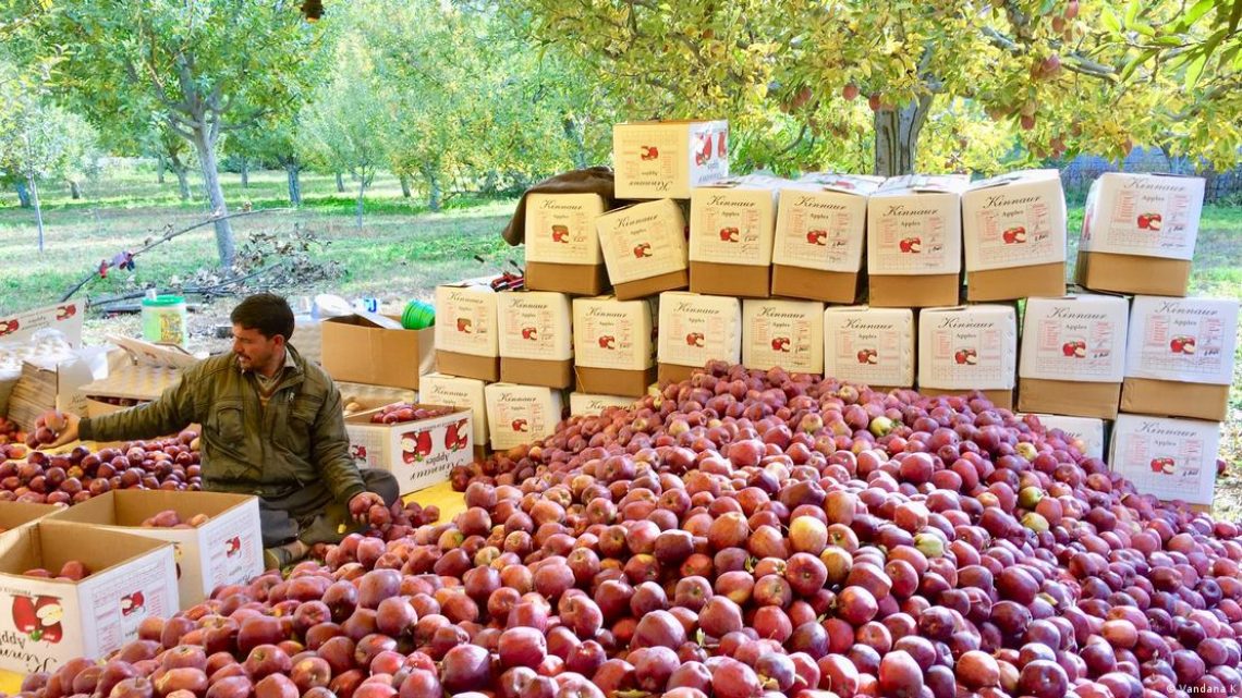 Indian Farmers Revolt as Modi’s India-US Trade Deal Threatens Rural Livelihoods and Kashmir’s Apple Economy