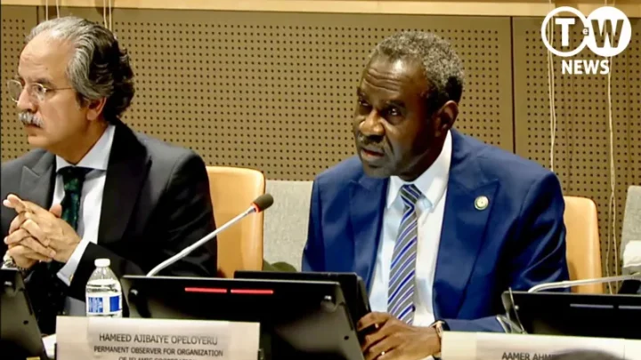 OIC Wants Definitive Settlement of Kashmir, Palestine Disputes: Ambassador Opeloyeru: India’s Kashmir Occupation an International Dispute