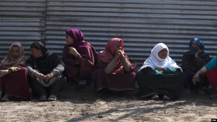 509 Missing Minor Girls and the Brutal Collapse of Protection in IIOJK