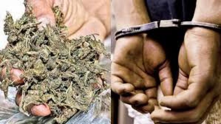 The Kerala Navy Drug Case: Binu William and the Rising Criminality in India’s Armed Forces