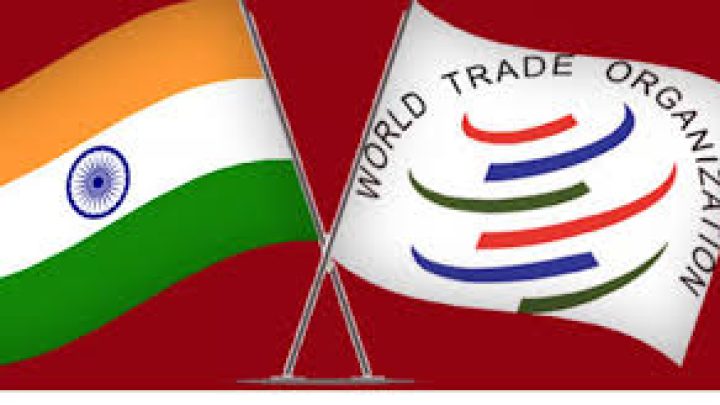 India’s WTO Diplomacy: Strategic Drift and Economic Vulnerabilities