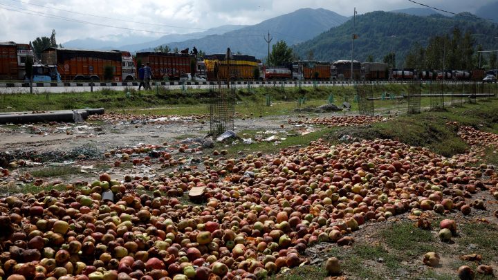 Indian Army and Hindutva Nexus Behind Brutal Destruction of 400 Apple Trees in IIOJK