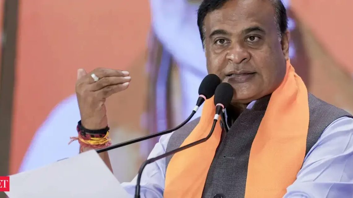 Himanta Biswa Sarma Directs Forced Pushbacks of Twenty Undocumented Migrants at Assam Border