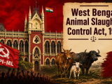 How BJP Policies and Cow Vigilantism Ruined West Bengal Livestock Economy Ahead of Ei