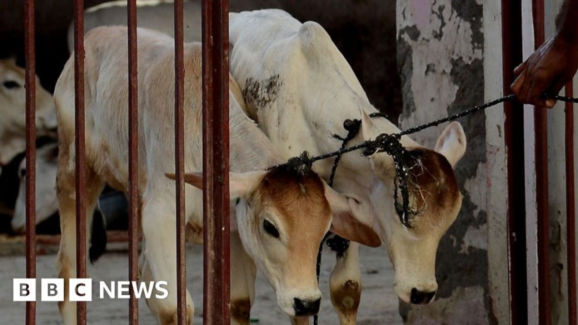 Madhya Pradesh Invokes The National Security Act Against Two Muslim Men In A Cow Slaughter Case