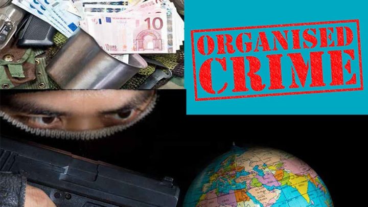 Global Security Operations Expose India as the Source of Rising Transnational Criminal Networks