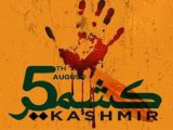 Youm-e-Istehsal August 5 India Illegal Actions In Kashmir Strip Freedom And Violate International Law