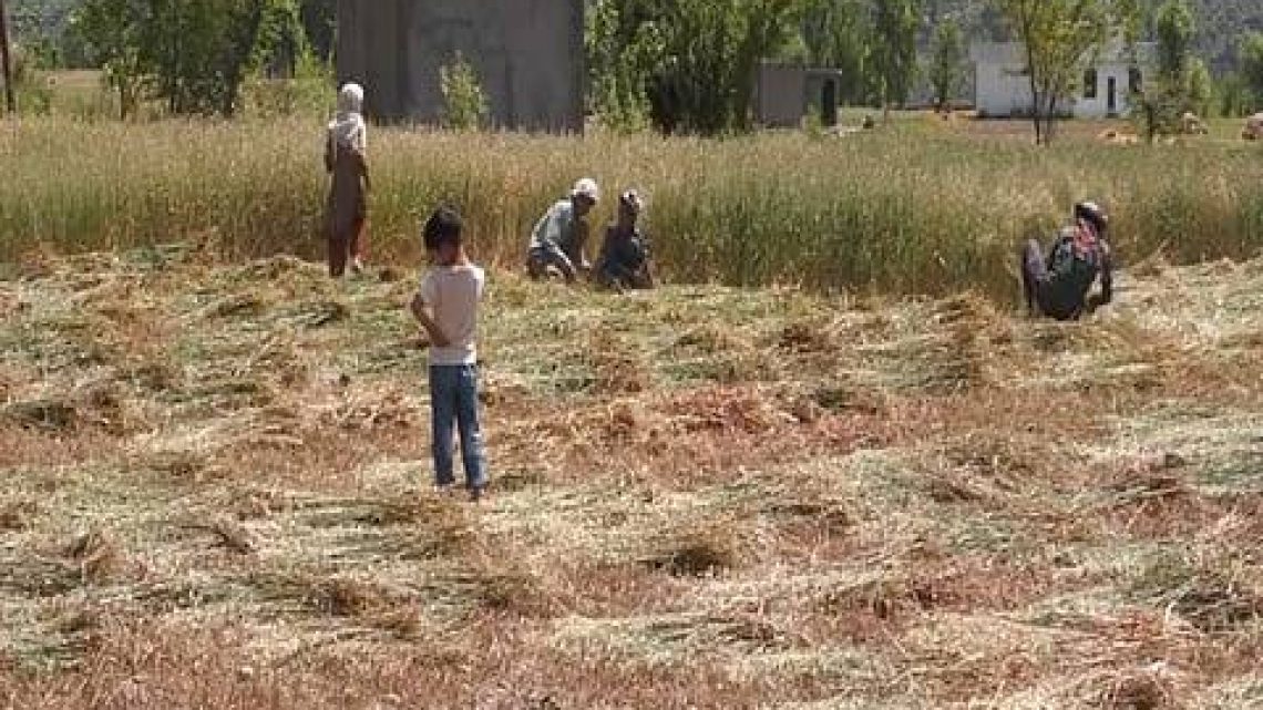 BJP Supported Land Grabbers Attack Kathua Farmers As IIOJK Administration Ignores Highway Protests